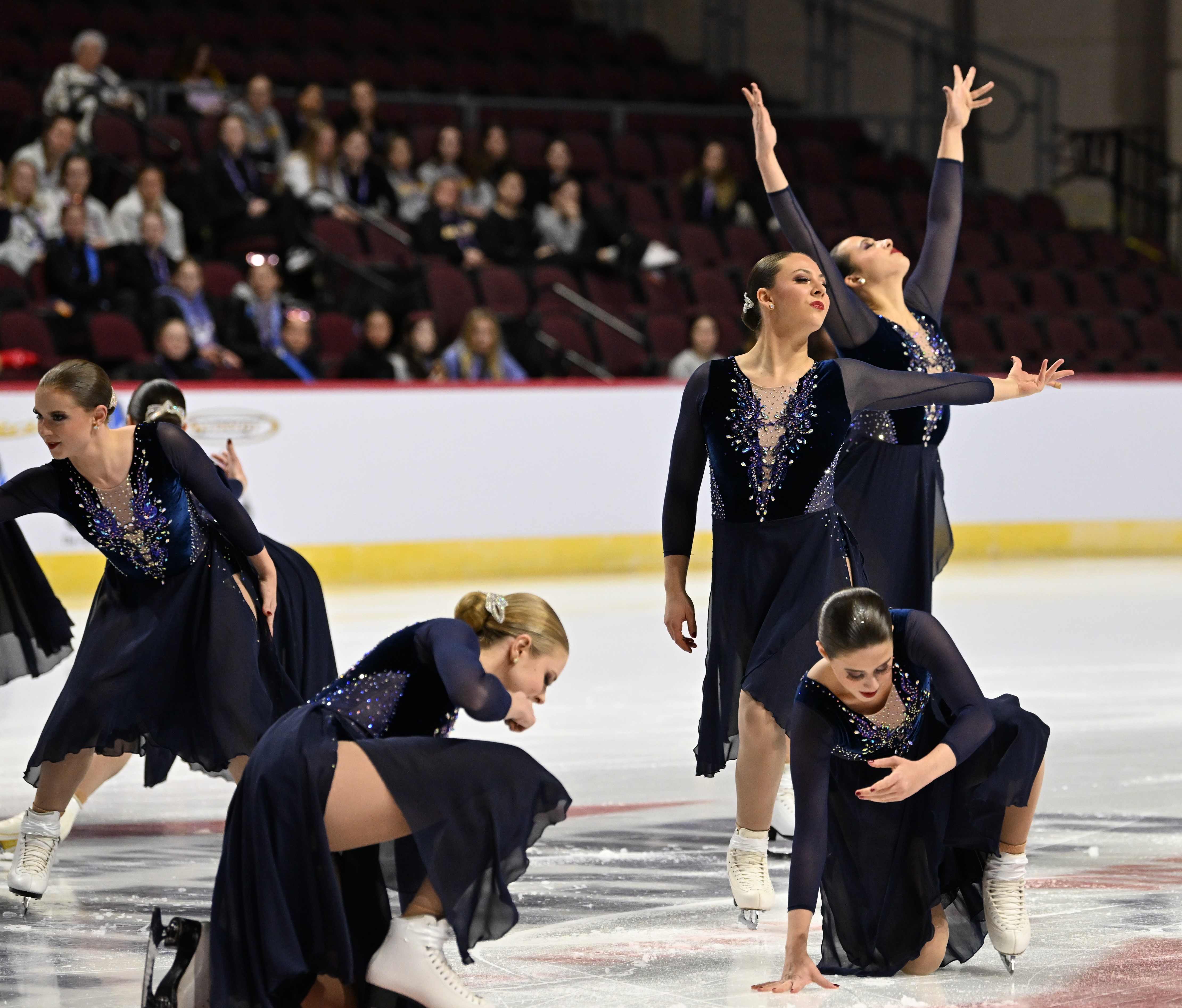 Five Haydenettes athletes during their starting short program pose. The two in the forefront are kneeling and leaning over their knee. The two in the right background are standing, one with their arms toward the sky and one with one arm out to the side. And the one in the back left is standing, leaning to the left out of the frame. They all wear black dresses with purple mesh detail down the front and side cutouts.